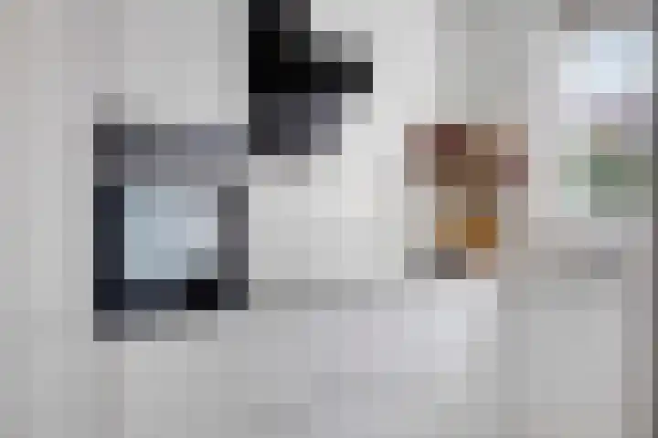 Impostmeester 13 Assendelft thumbnail 11