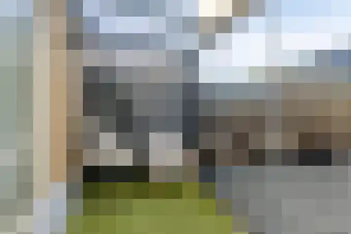 Impostmeester 13 Assendelft thumbnail 15