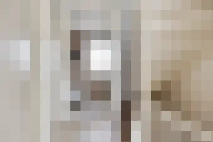 Impostmeester 13 Assendelft thumbnail 16