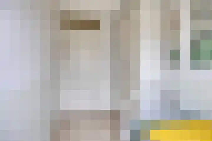 Impostmeester 13 Assendelft thumbnail 22