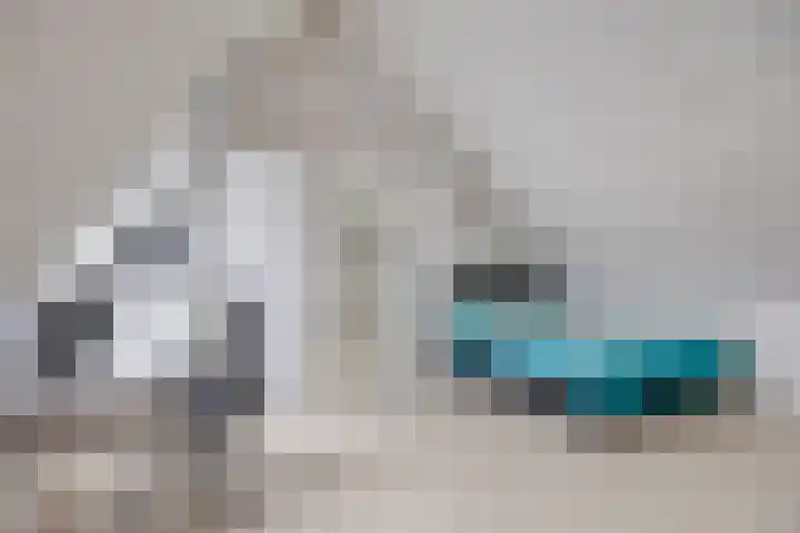 Impostmeester 13 Assendelft thumbnail 25