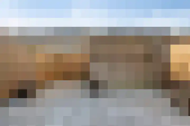 Impostmeester 13 Assendelft thumbnail 28