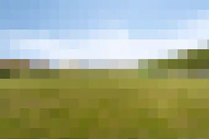Impostmeester 13 Assendelft thumbnail 31