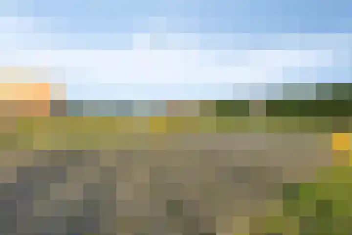 Impostmeester 13 Assendelft thumbnail 32