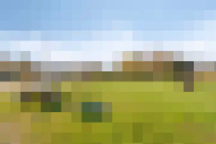 Impostmeester 13 Assendelft thumbnail 33