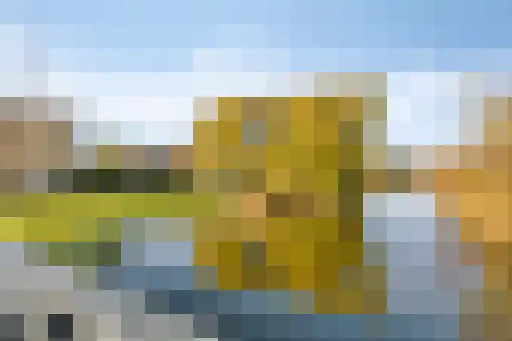 Impostmeester 13 Assendelft thumbnail 34