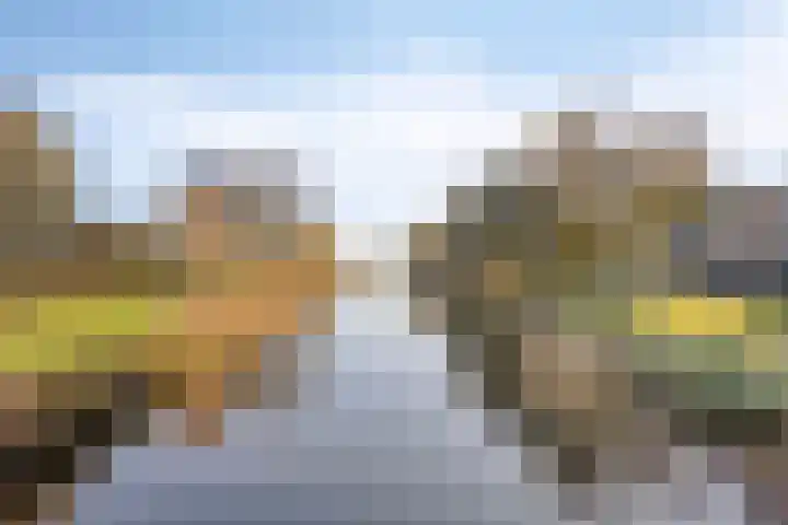 Impostmeester 13 Assendelft thumbnail 35