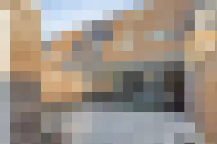 Impostmeester 13 Assendelft thumbnail 4