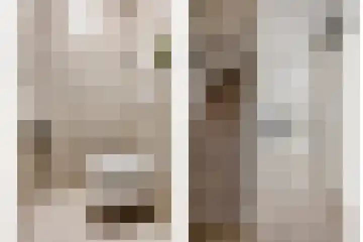 Impostmeester 13 Assendelft thumbnail 5