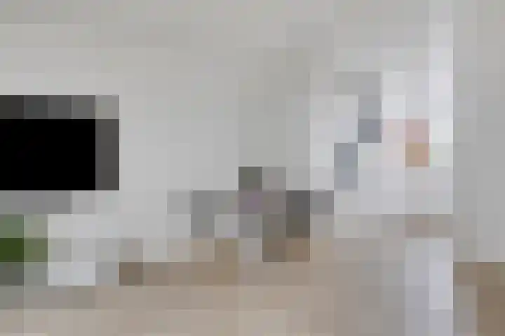 Impostmeester 13 Assendelft thumbnail 8