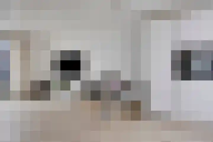 Impostmeester 13 Assendelft thumbnail 9