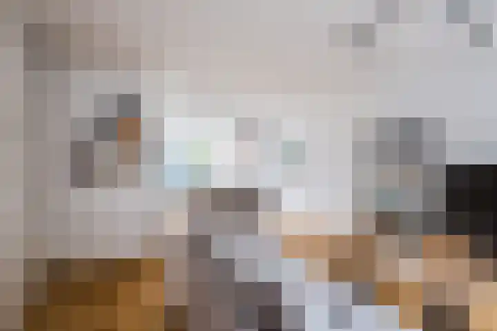 Imstenrade 10 Eindhoven thumbnail 11