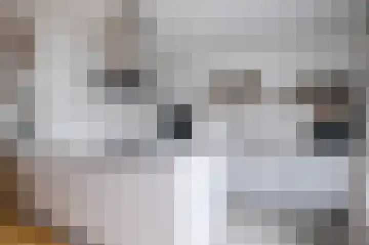 Imstenrade 10 Eindhoven thumbnail 14
