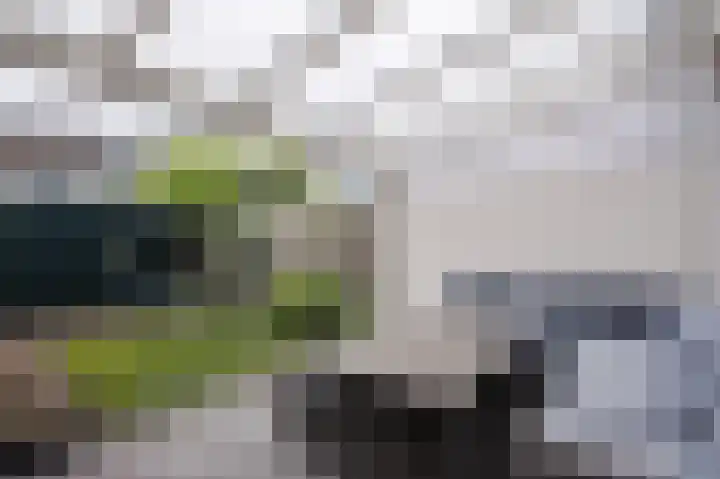 Imstenrade 10 Eindhoven thumbnail 20