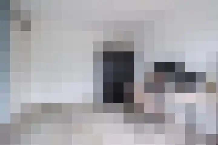 Imstenrade 10 Eindhoven thumbnail 28