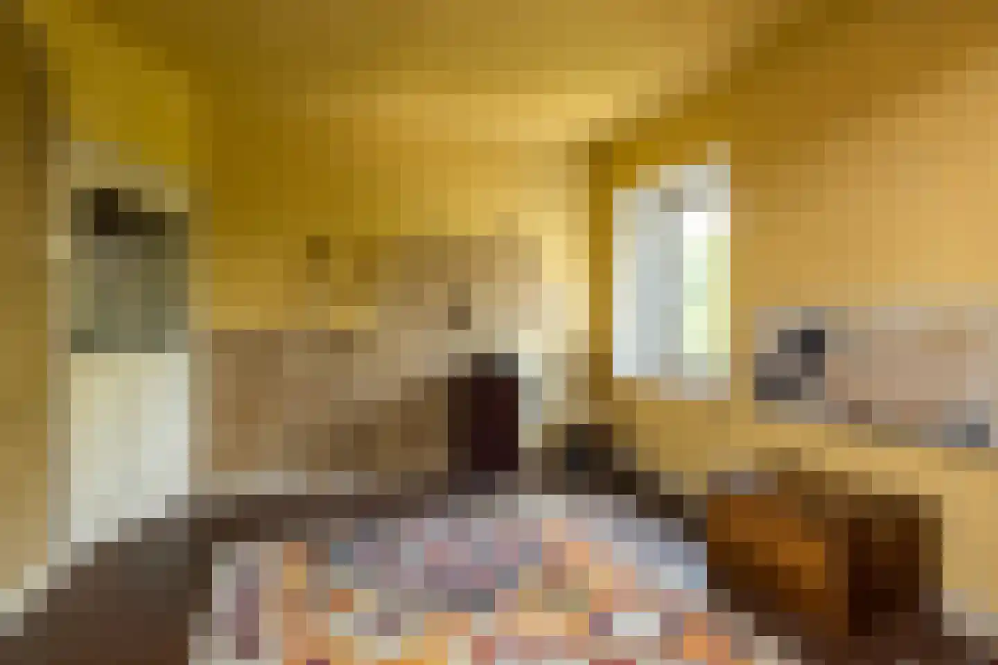 Imstenrade 2 Heerlen thumbnail 17