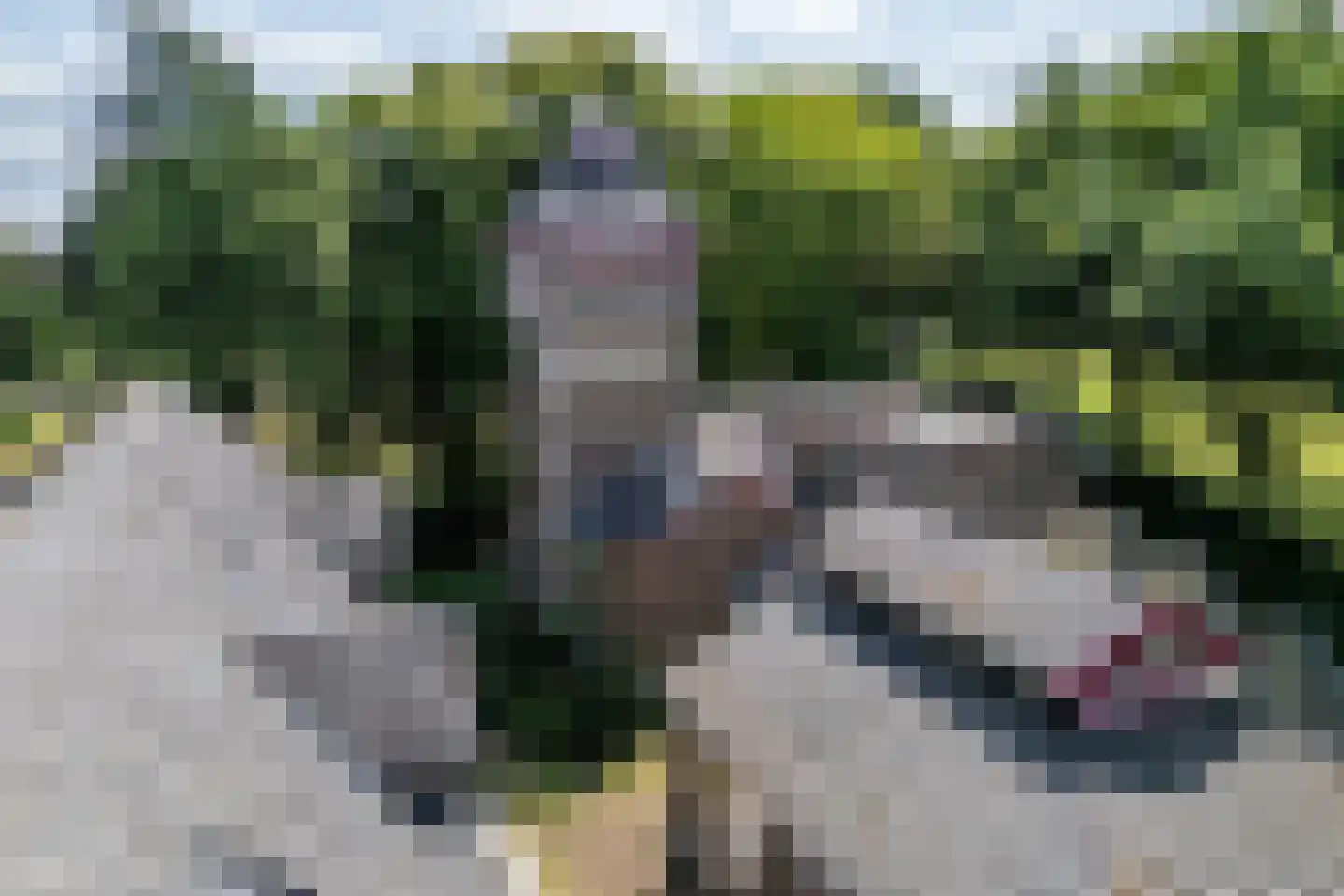 Imstenrade 2 Heerlen thumbnail 27