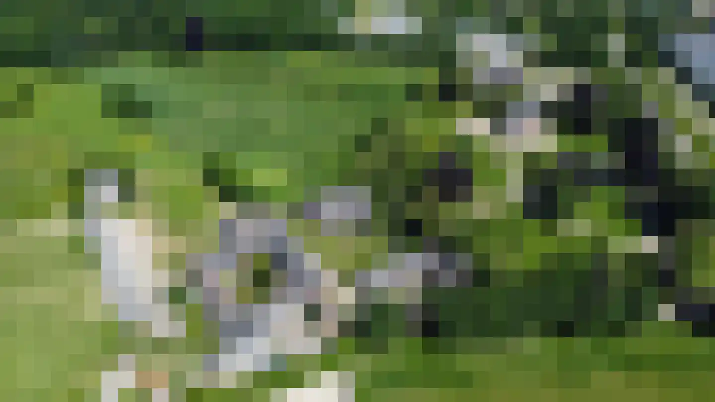 Imstenrade 2 Heerlen thumbnail 4