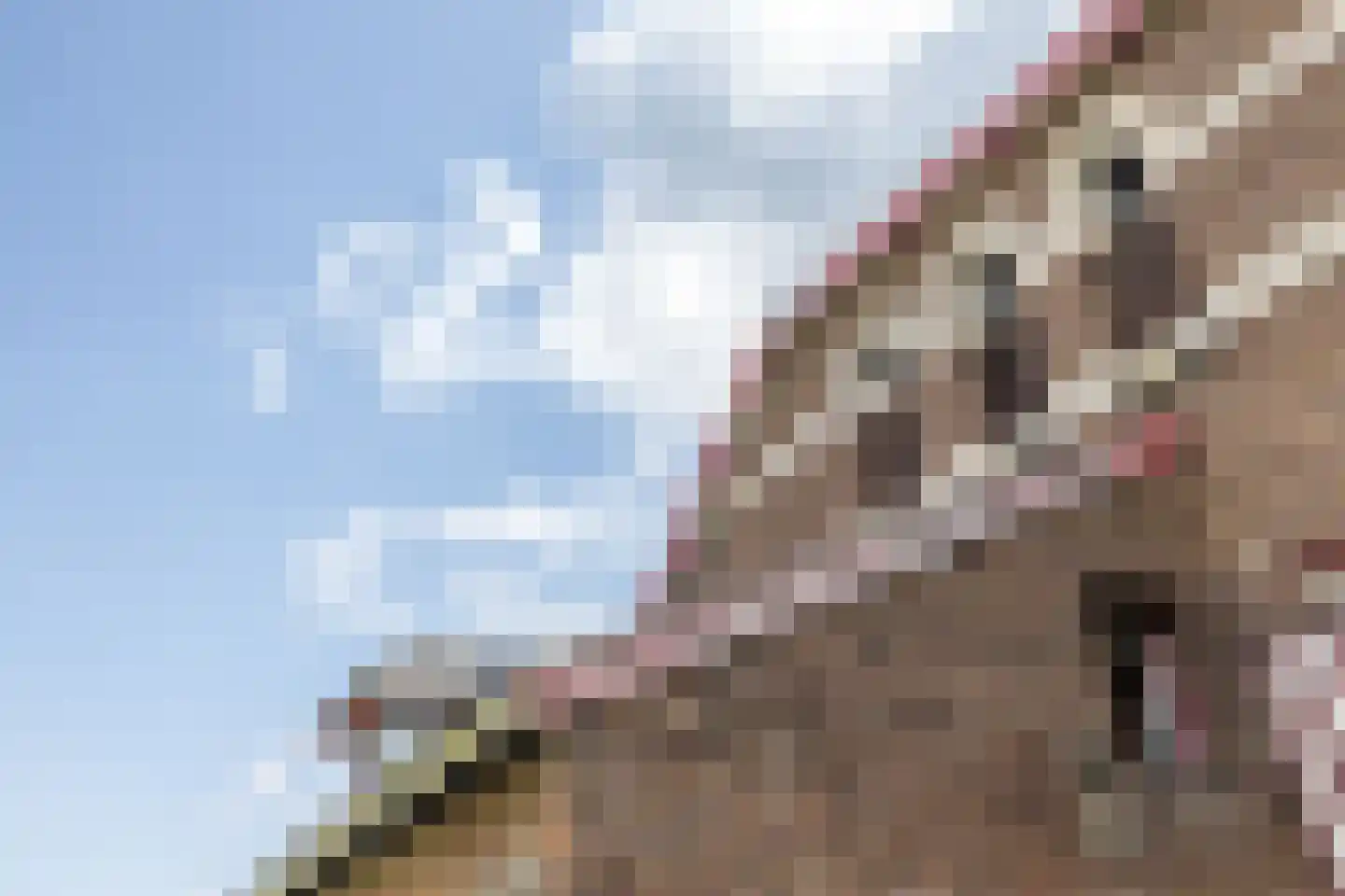 Imstenrade 2 Heerlen thumbnail 45