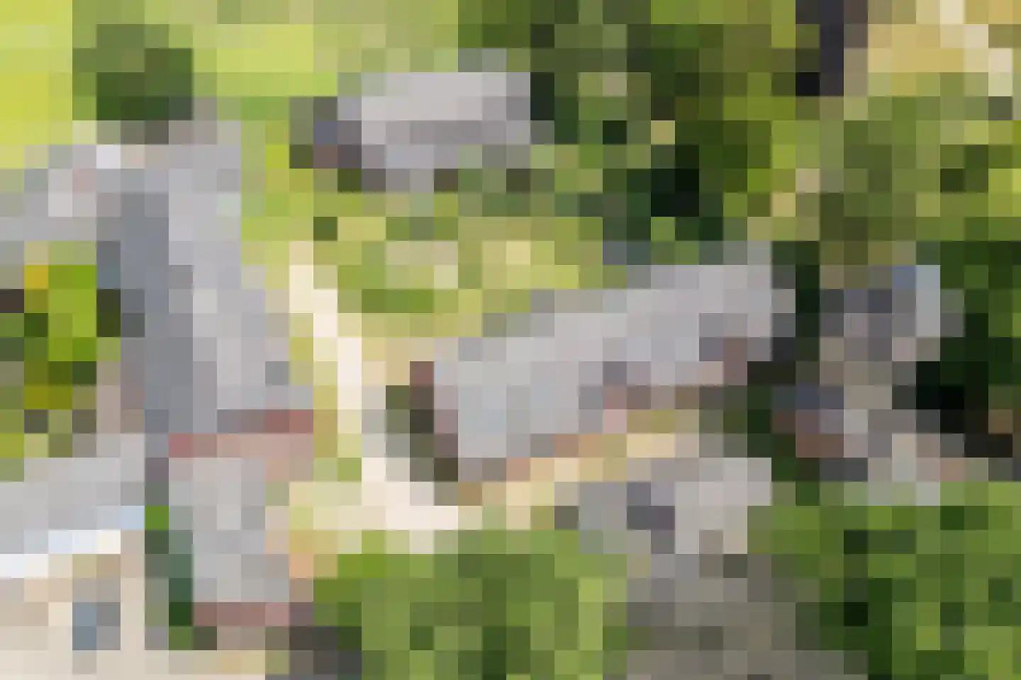 Imstenrade 2 Heerlen thumbnail 6
