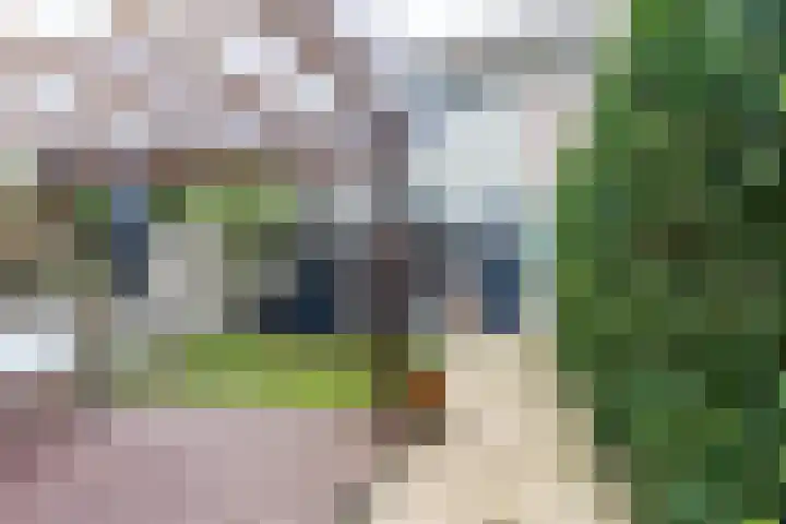 Imstenrade 30 Eindhoven thumbnail 14