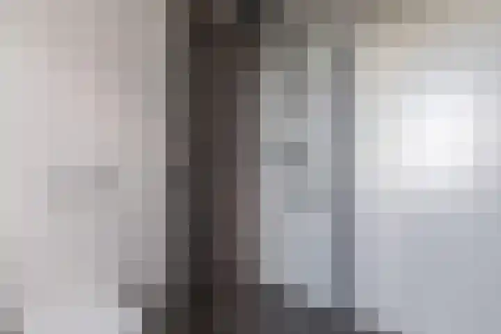 Imstenrade 30 Eindhoven thumbnail 15