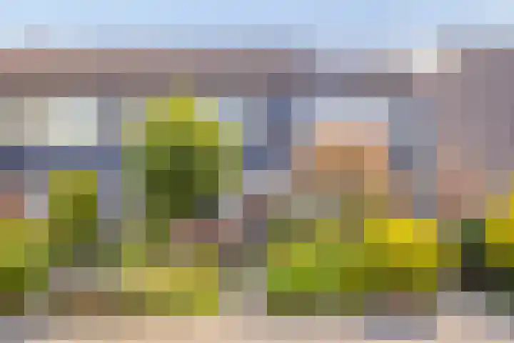 Imstenrade 30 Eindhoven thumbnail 36