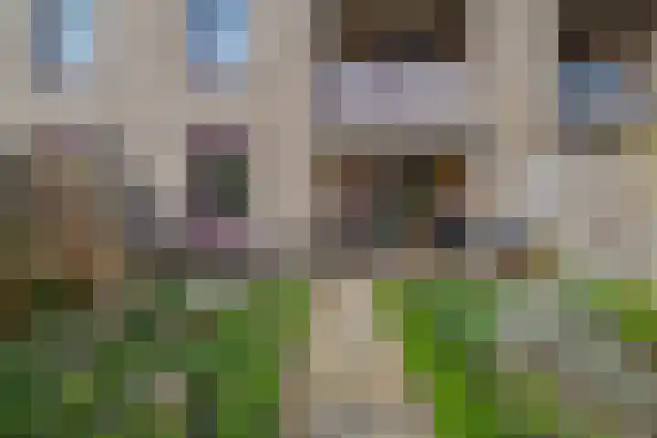 Imstenrade 34 Eindhoven thumbnail 14