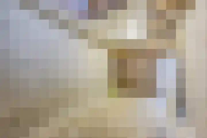 Imstenrade 34 Eindhoven thumbnail 16