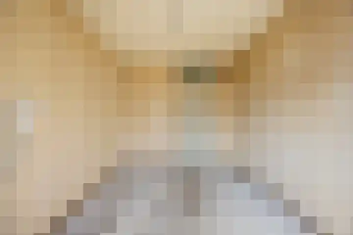 Imstenrade 34 Eindhoven thumbnail 24