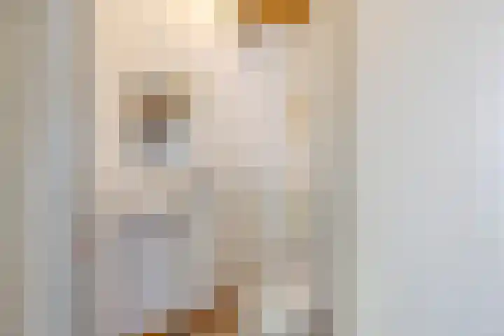 Imstenrade 34 Eindhoven thumbnail 38