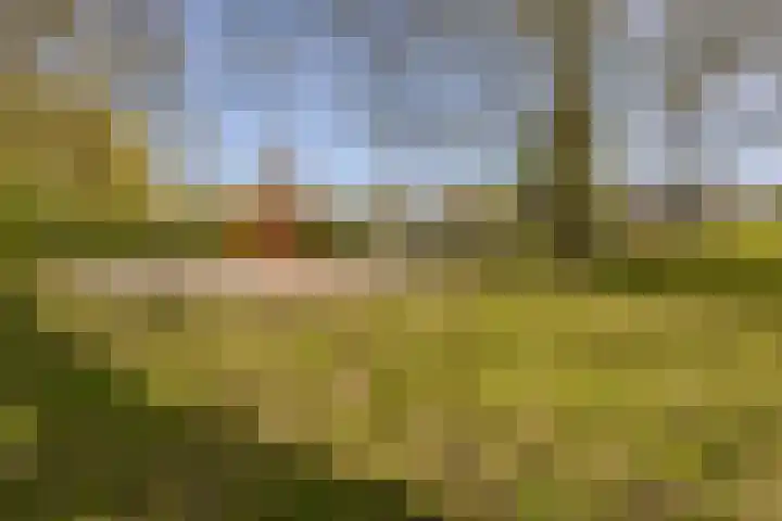 Imstenrade 34 Eindhoven thumbnail 49