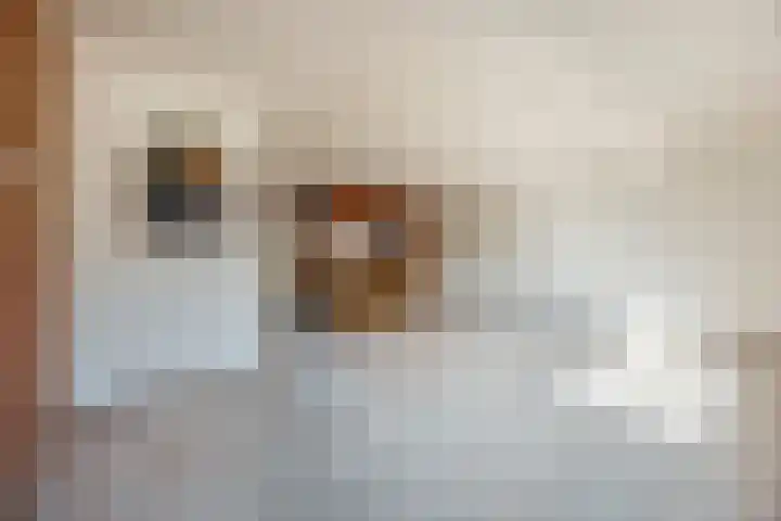 Imstenrade 34 Eindhoven thumbnail 5