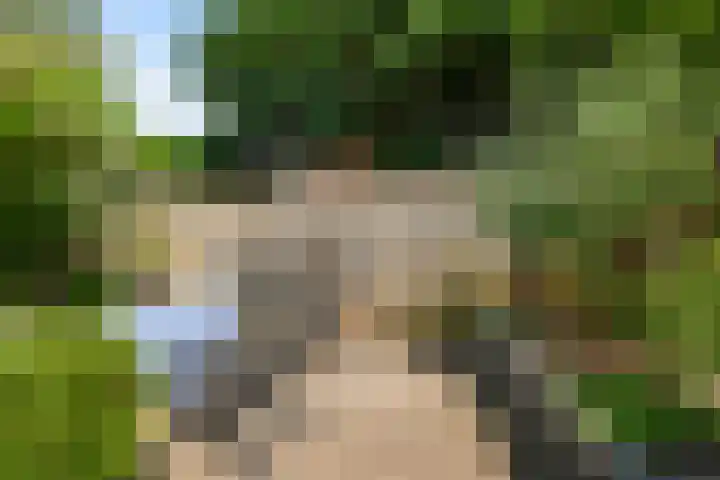 Imstenrade 35 Amsterdam thumbnail 17
