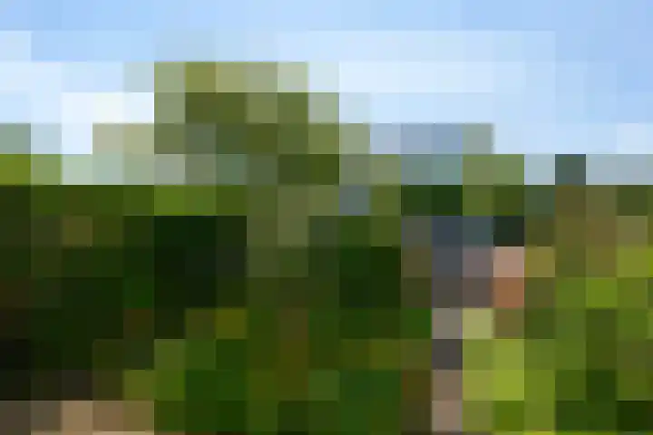 Imstenrade 35 Amsterdam thumbnail 5