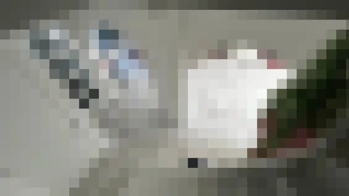 Imstenrade 49 Amsterdam thumbnail 4