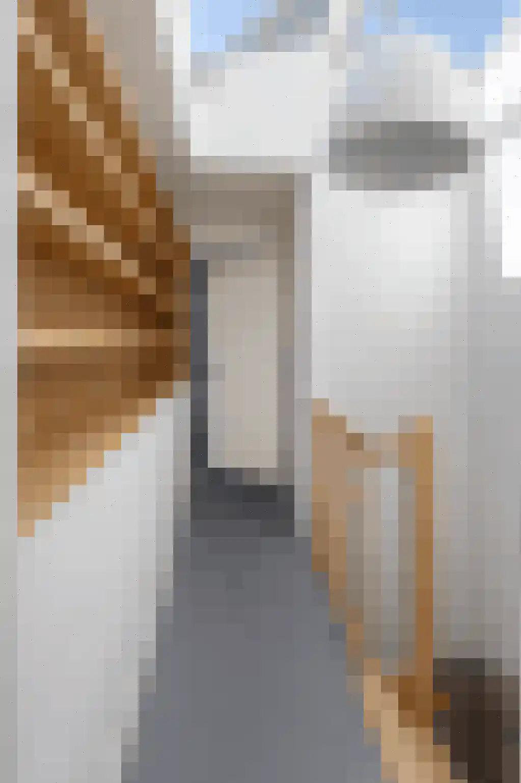 Imstenrade 55 Amsterdam thumbnail 40