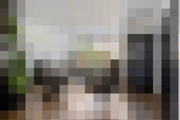 Imstenrade 61 Eindhoven thumbnail 10
