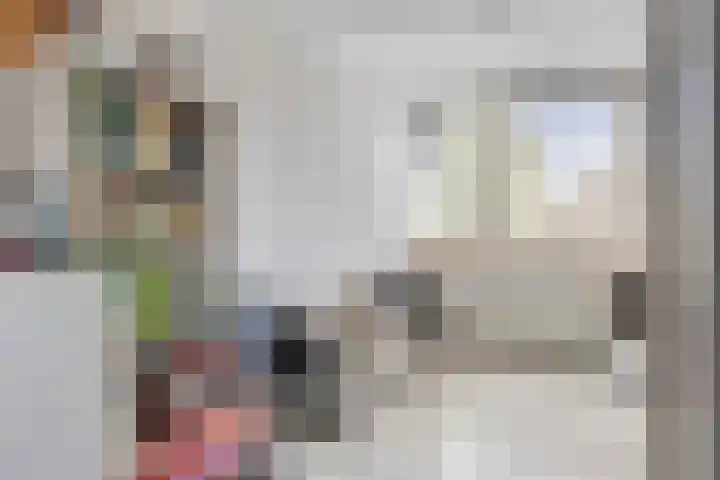 Imstenrade 61 Eindhoven thumbnail 26