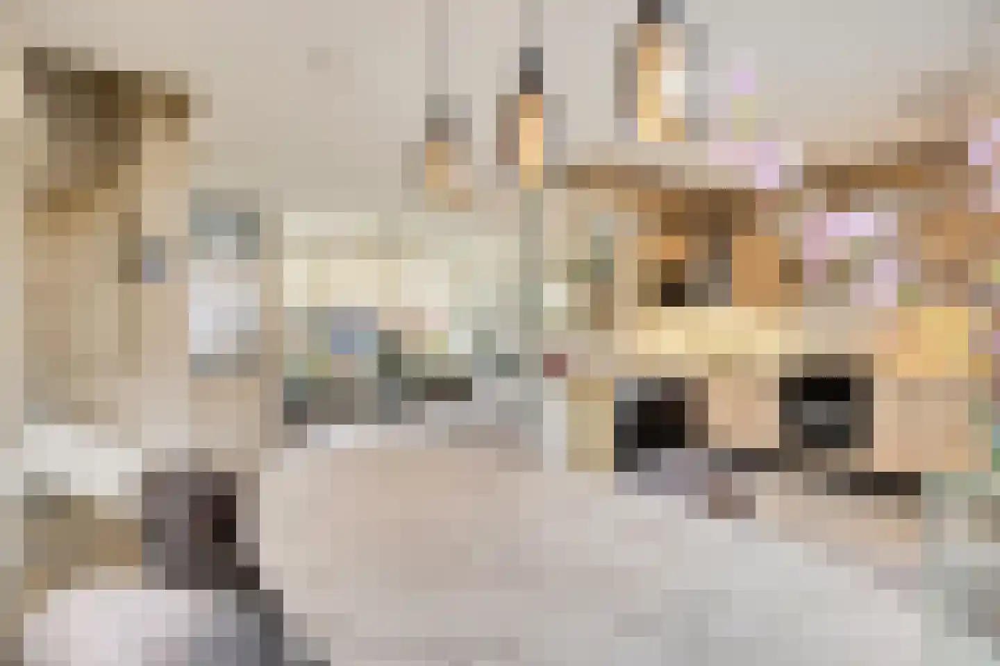 Imstenrade 67 Eindhoven thumbnail 12