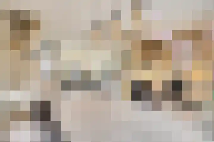 Imstenrade 67 Eindhoven thumbnail 12