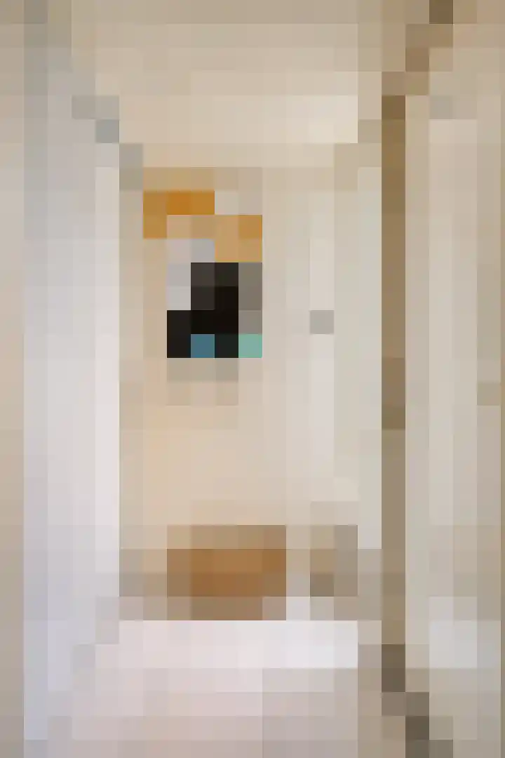 Imstenrade 67 Eindhoven thumbnail 20