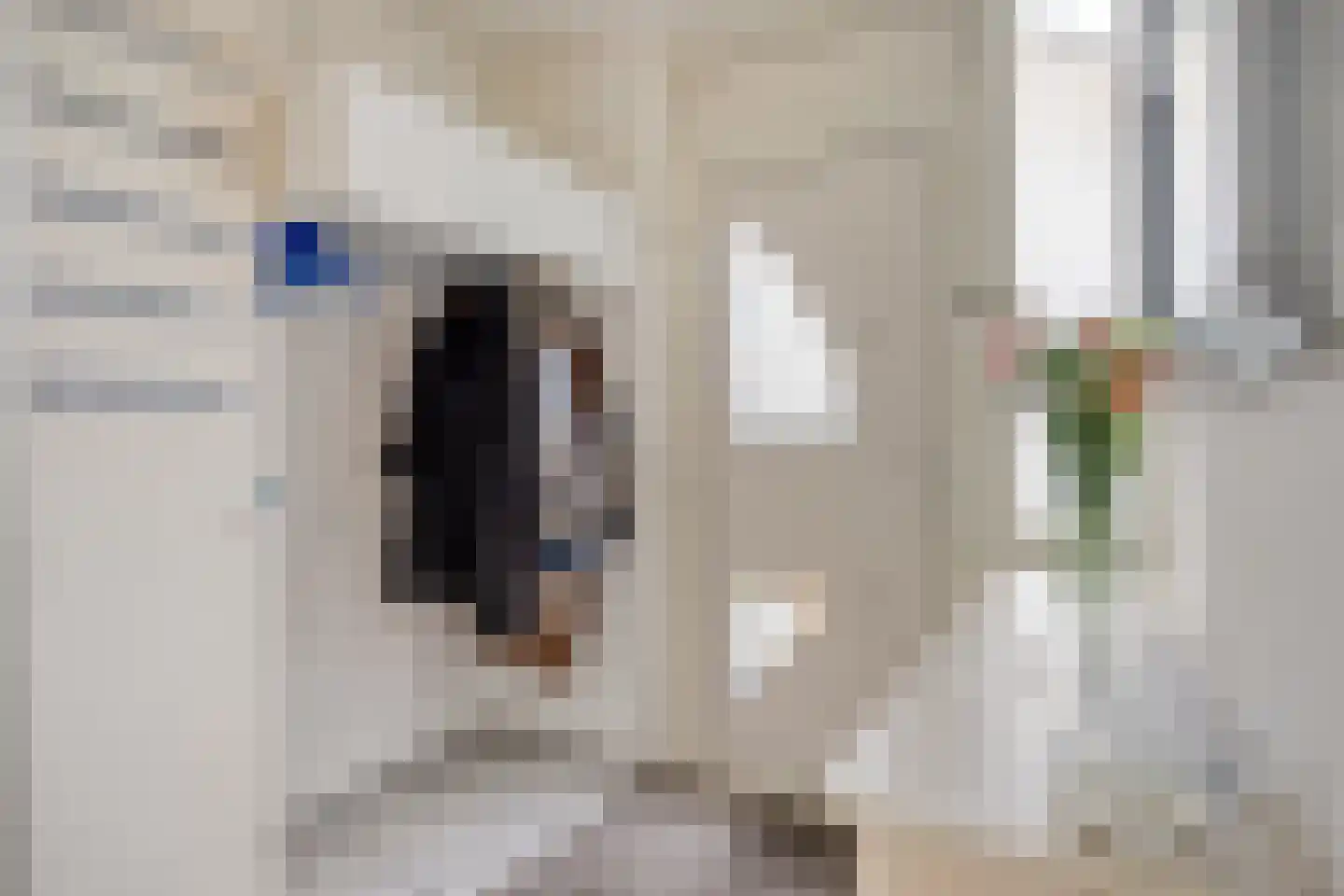Imstenrade 67 Eindhoven thumbnail 5