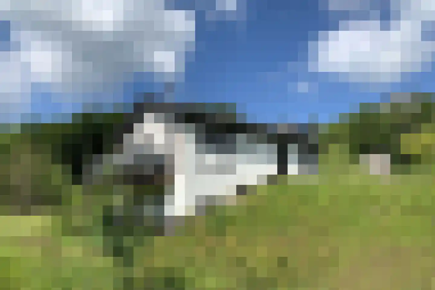 in d' Hoef 21 1 in Hoogerheide