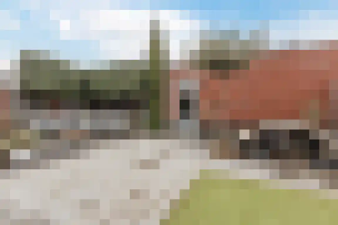 in d' Hoef 55 Hoogerheide thumbnail 30