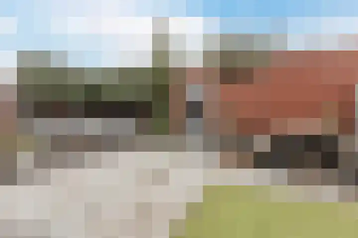 in d' Hoef 55 Hoogerheide thumbnail 30