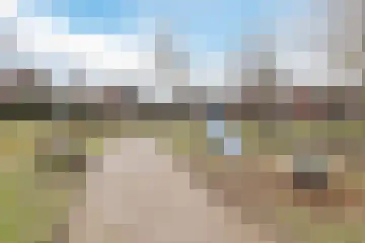 in d' Hoef 55 Hoogerheide thumbnail 38