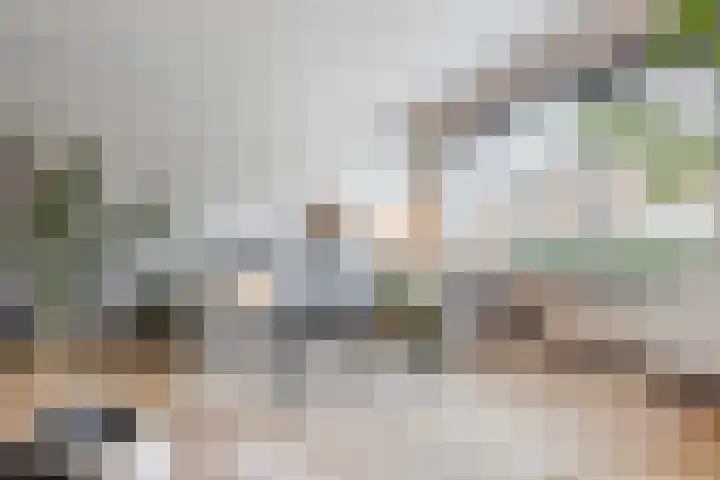in d' Hoef 55 Hoogerheide thumbnail 8