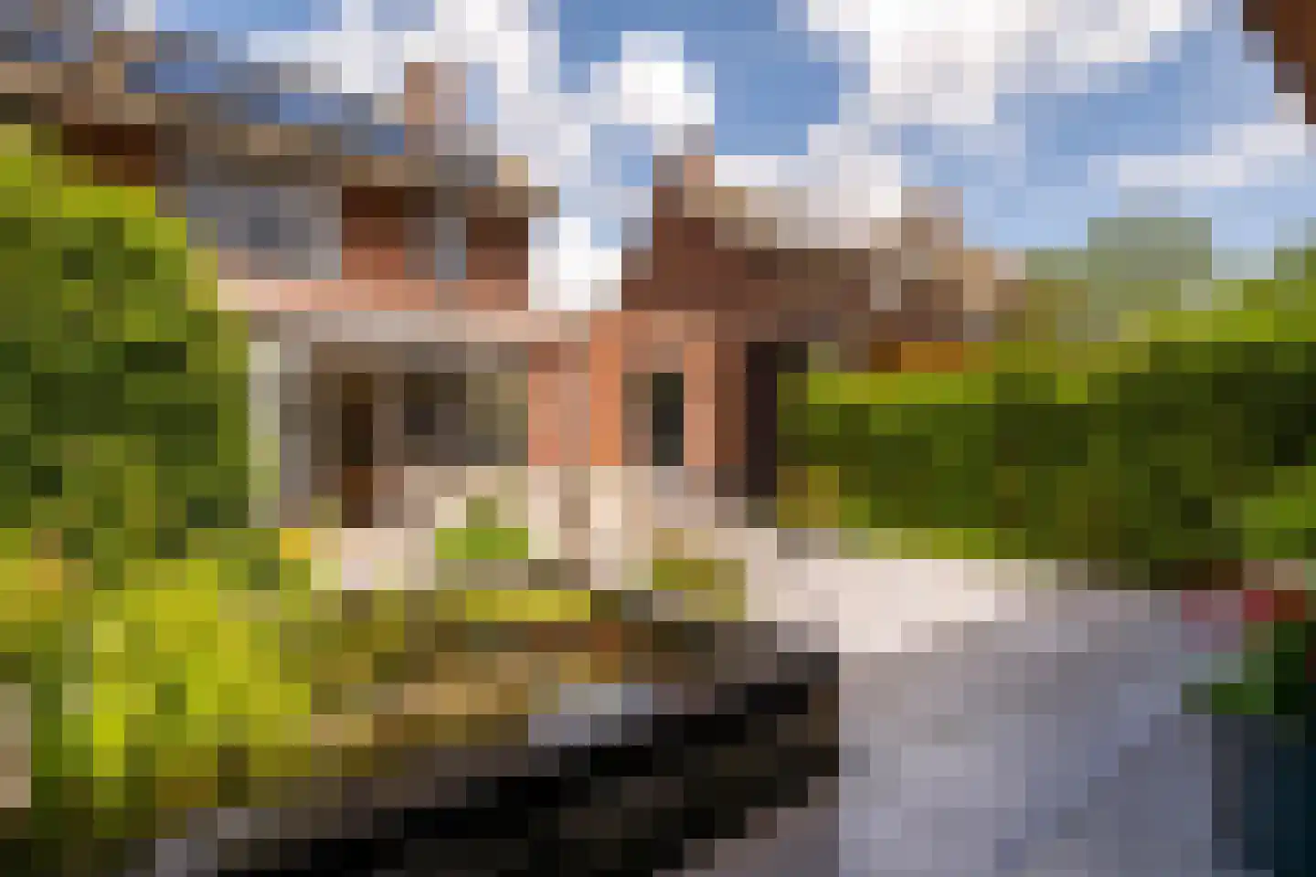 in d' Hoef 60 Hoogerheide thumbnail 32