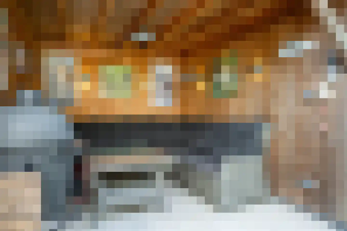 in d' Hoef 60 Hoogerheide thumbnail 39